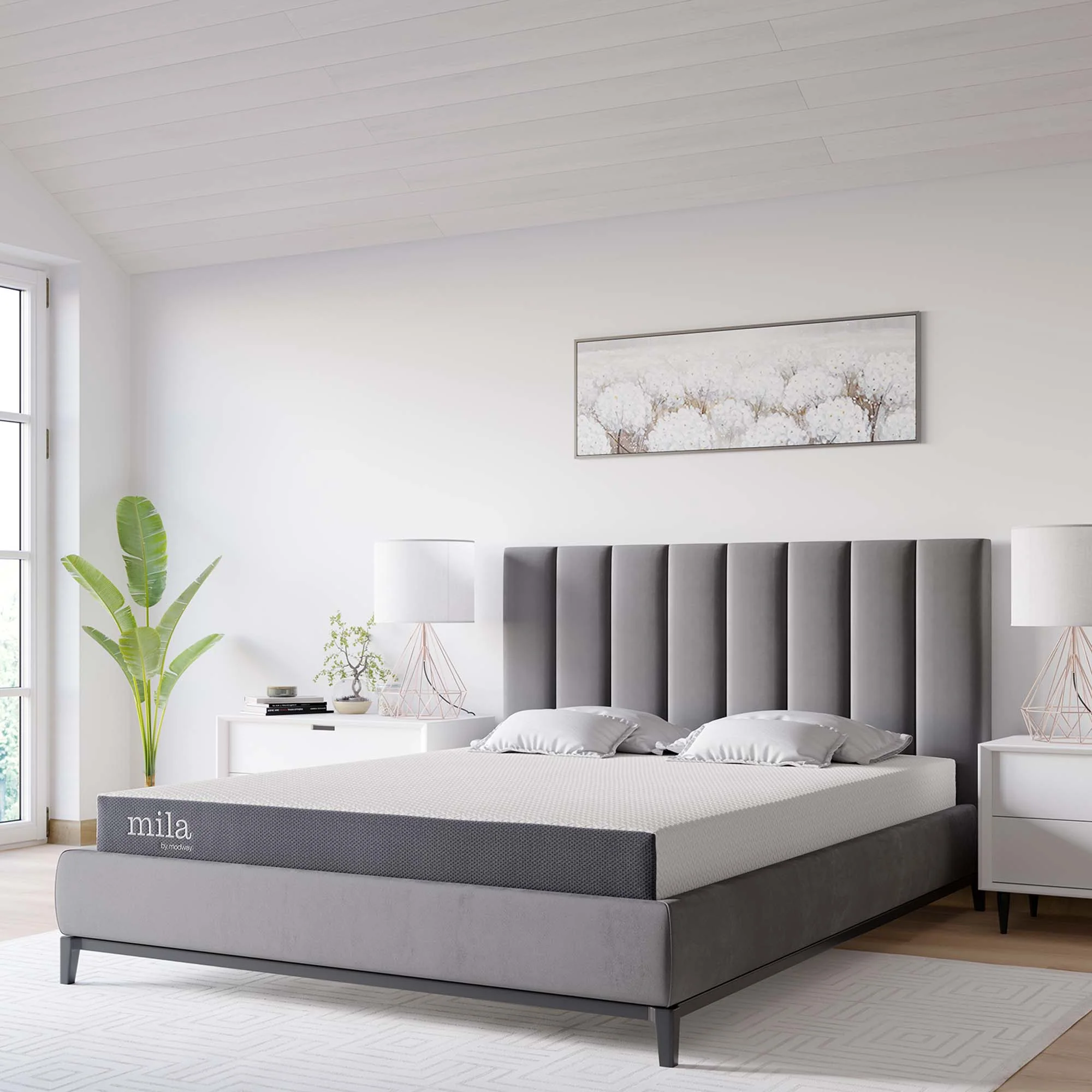 Product image 172